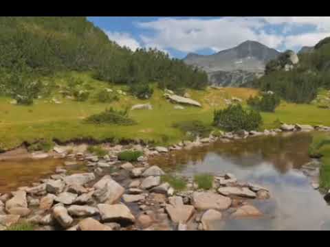 Dengbej ŞAKIRO ( MEM'ê ezim ZÎN'ê tûyê )     #dengbêjşakirêkopê  #dengbej  #stranênkurdî  #kurdi