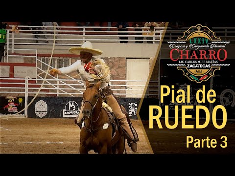 PIAL DE RUEDO part 3 - Zacatecas Congress 2018