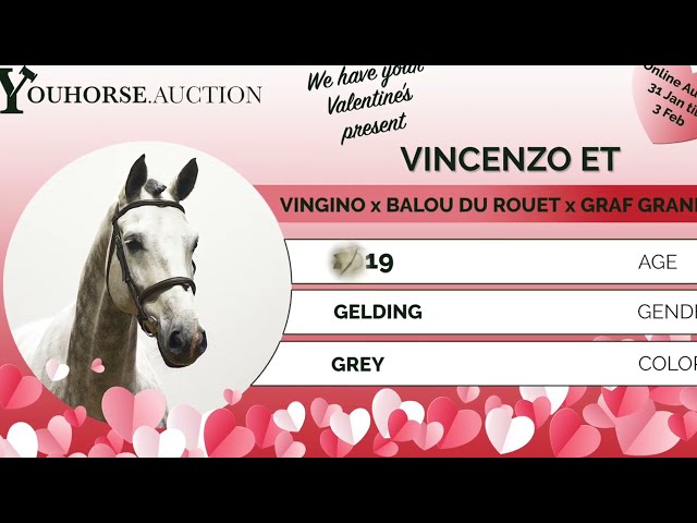 Vincenzo