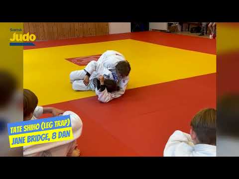 Utbildningssystem 1: Ne Waza System 1
