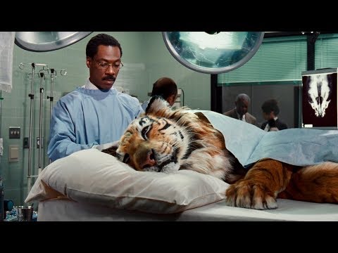 【橙排排】男子聽見動物說話的聲音，他被動物當成神，卻被家人當成神經病送醫《怪醫杜立德 Dr. Dolittle》