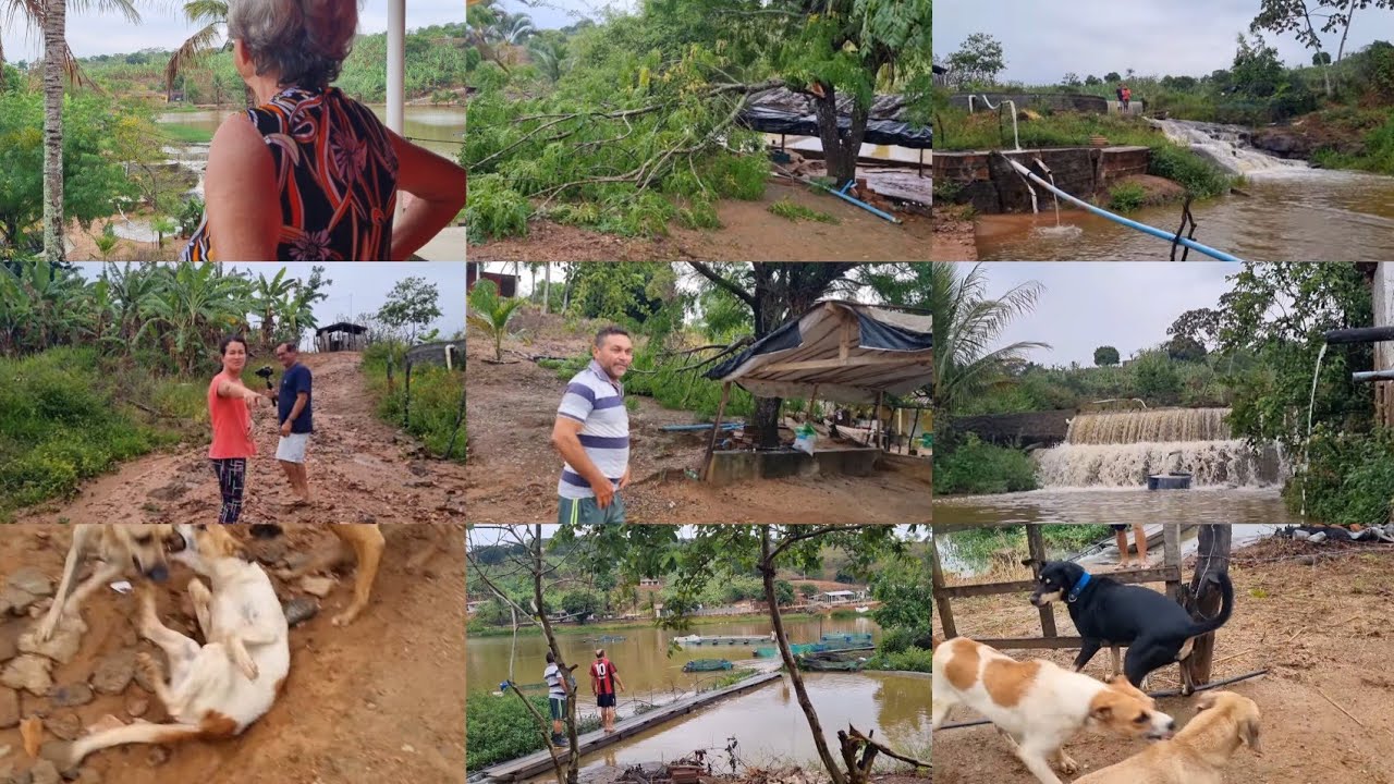 OLHA COMO AMANHECEU HOJE AQUI , ENCHEU TUDO +,LOLA ESCAPOU POR POUCO