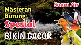 Download lagu 🔴 TERAPI AIR   MASTERAN SPESIAL BIKIN GACOR‼️ | Terapi Burung Macet Bunyi mp3