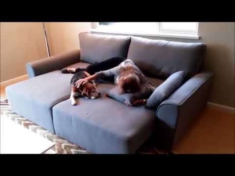 image-Can a daybed be a queen?