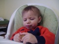 Brody Eating A Cookie Winter 2008 09