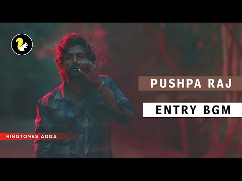 Pushpa Entry BGM - Pushpa BGMs HD | Pushpa Introduction BGM | Pushpa Mass BGM