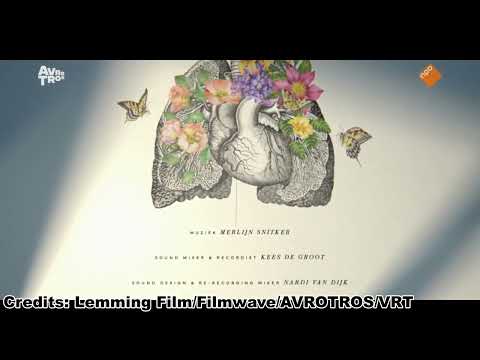 Dag & Nacht (leader tv serie 2023)