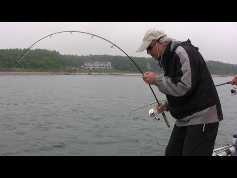 Saltwater Fishing in Buzzards Bay for Sea Bass