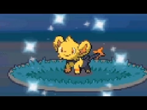 Live Shiny Shinx after 13,000 REs