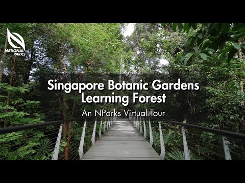 Singapore Botanic Gardens Learning Forest | An NParks Virtual Tour