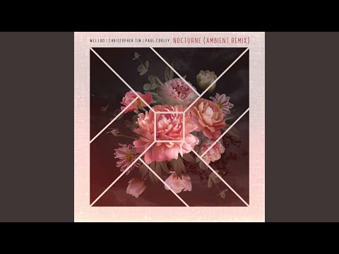 Tin: Nocturne (Ambient Remix)