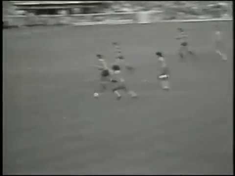 Rivellino goal vs Paraguay (1974)