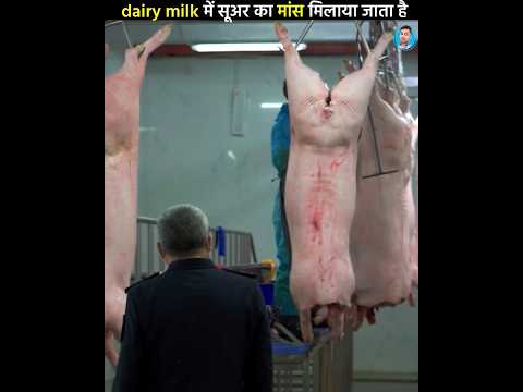 क्या सच में dairy milk में सूअर का मांस मिलाया जाता है #shorts #sachtakfacts