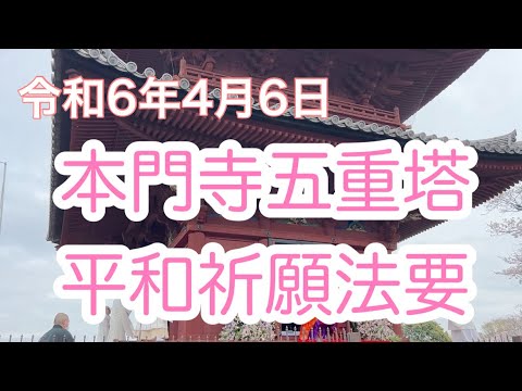 哲学科 本門寺五重塔平和祈願法要行ってきました。