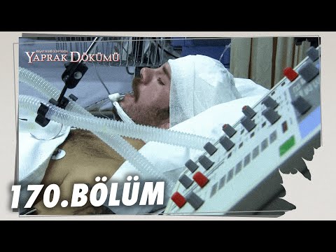 Yaprak Dökümü 170. Bölüm - Full Bölüm