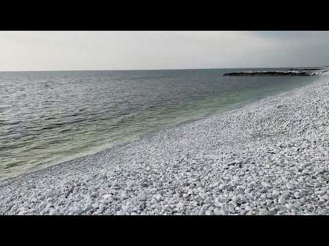 Rocky beach in Pisa Italy 2022