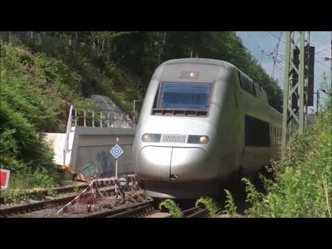 Askprojekt  - Jungle Train (World's fastest trains)