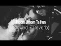 Jhoom Jhoom Ta Hun // Slowed Reverb // Pritam & Siddharth Basrur