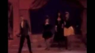 ANDRÈ SCHWARTZ - Ek Wil Jou Nooit Weer Sien (AMPTELIKE MUSIEK VIDEO)