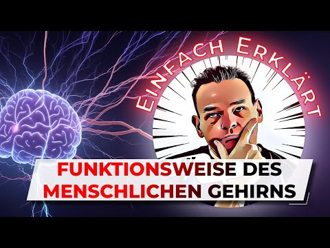 Das Gehirn Entschlüsselt Wie unser Gehirn funktioniert – Einfach und Verständlich Erklärt!