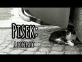Pisek The Czech Republic