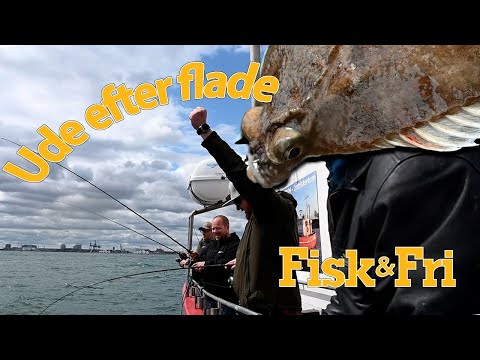 fanger-du-roedspaetter