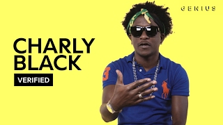 Charly Black "Gyal You A Party Animal" Official Lyrics & Meaning | Verified