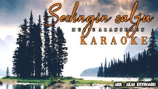 Download lagu Sedingin salju - evie tamala | karaoke ( akas studio ) mp3