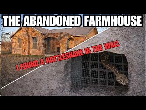 I found a rattlesnake! ... oh and the kitchen is done! (ep7)