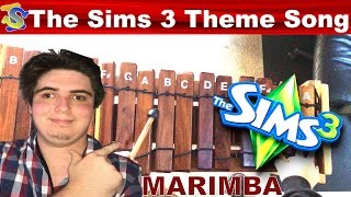 The Sims 3 Theme Song on the Marimba