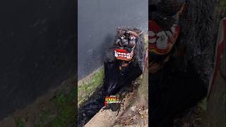 Download lagu gak ada yang mau temenan sama barongan mp3 Download lagu gak ada yang mau temenan sama barongan mp3