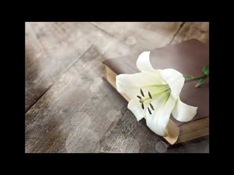 13.1.2020. Bježite od bludnosti - vlč. Ramos