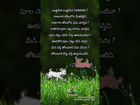 children👶👧👦 rhyme