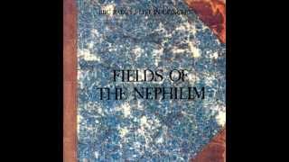 Fields of the Nephilim -  Endemoniada (BBC radio1 Live)