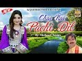 Chai Nai Pachi Dil Lyrics Dilbar New Kashmiri Folk Song Lyrics Dilbar