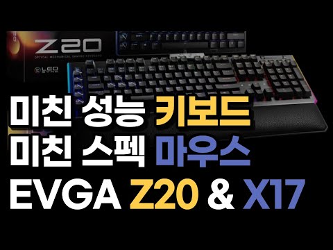 EVGA Z20 RGB  ̹ Ű ѱ