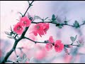 Best Of Melodic Techno Worakls Einmusik N To Malecka Teho Aalson Nils Andreas Ben C Kalsx
