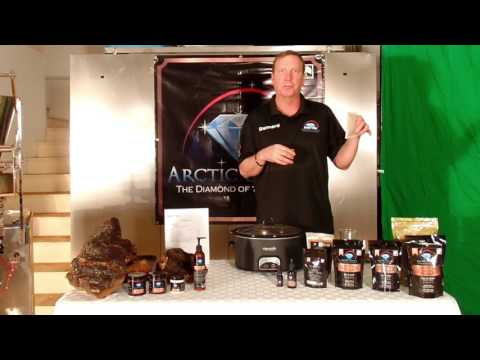 Arctic Chaga: The Best Way to Prepare Chaga Tea