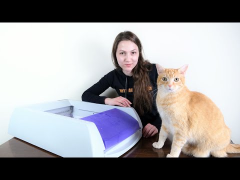 PetSafe ScoopFree Automatic Litter Box Review (We Tested it For 2 Months)