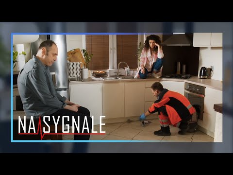 „Na sygnale" | Szczurza gorączka | scena z odc.376