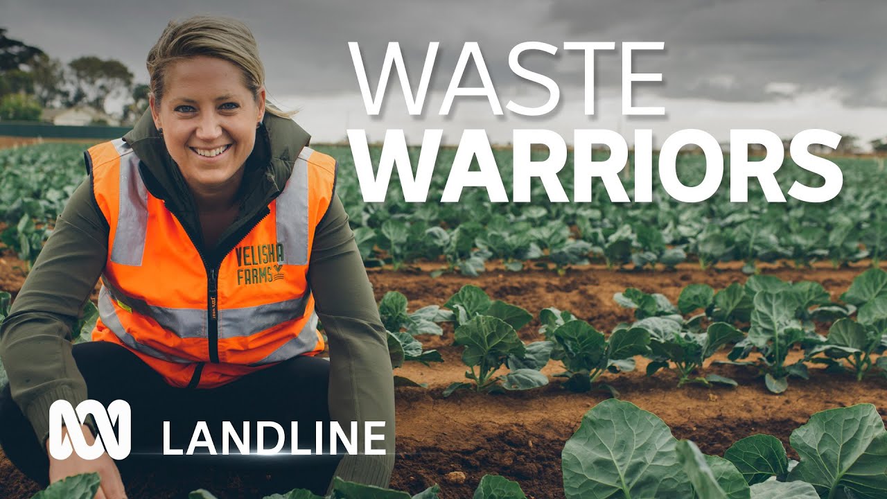 Food waste warriors redirect unwanted produce to homes, charities 🥦 🍞 👷 | ABC Landline