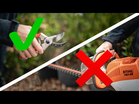 How to Hand Prune Your Shrubs // It's Faster, Cheaper, and Healthier than using a Hedge Trimmer!