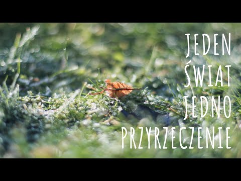 Jeden świat, jedno przyrzeczenie - Piosenki harcerskie #jedenświat #jednoprzyrzeczenie