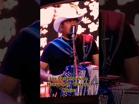 Los Cardenales de Nuevo leon Corazón Necio #happyalbertomx