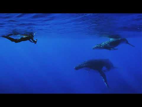 Nukutepipi Island | French Polynesia - The Agency