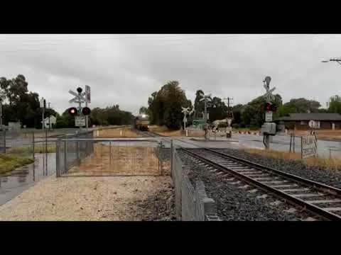 pacific national steel train