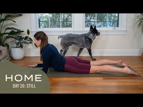Home - Day 20 - Still  |  30 Days of Yoga