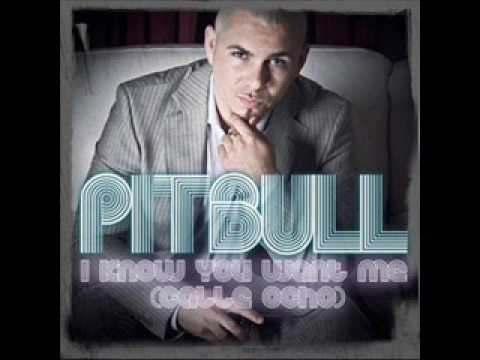 Pitbull feat. Big Ali & Magic System - I know you want me (Da Familia Team Remix)