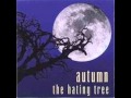 Autumn - How It Came To Be This Way