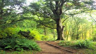 Winkworth Arboretum Godalming Surrey
